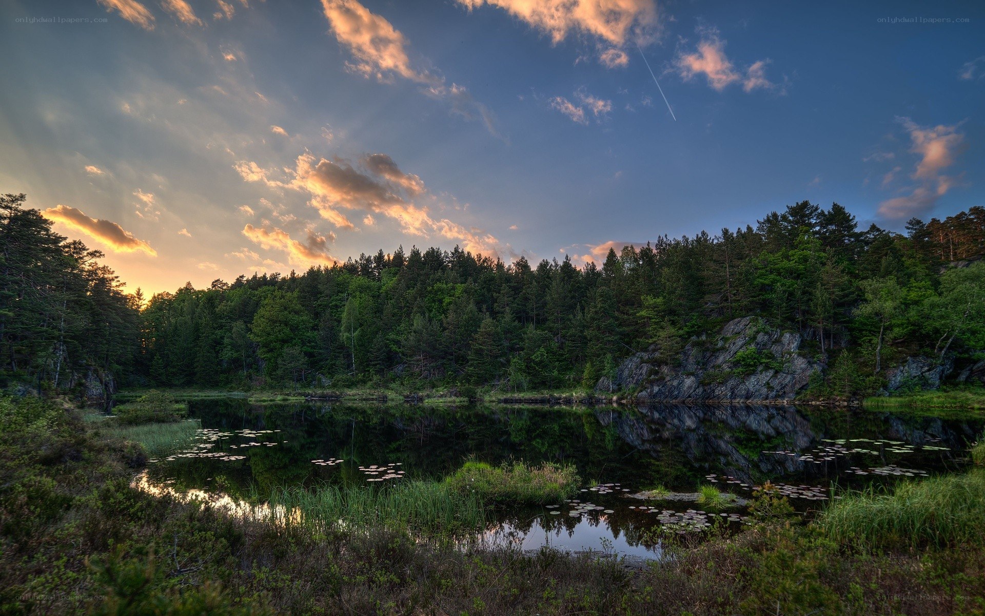 Forest lake at sunset