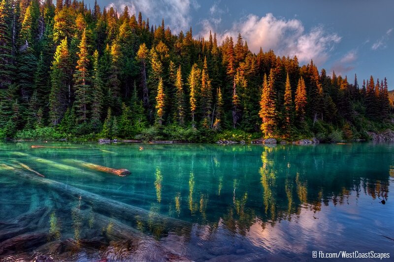 Forest lake at sunset