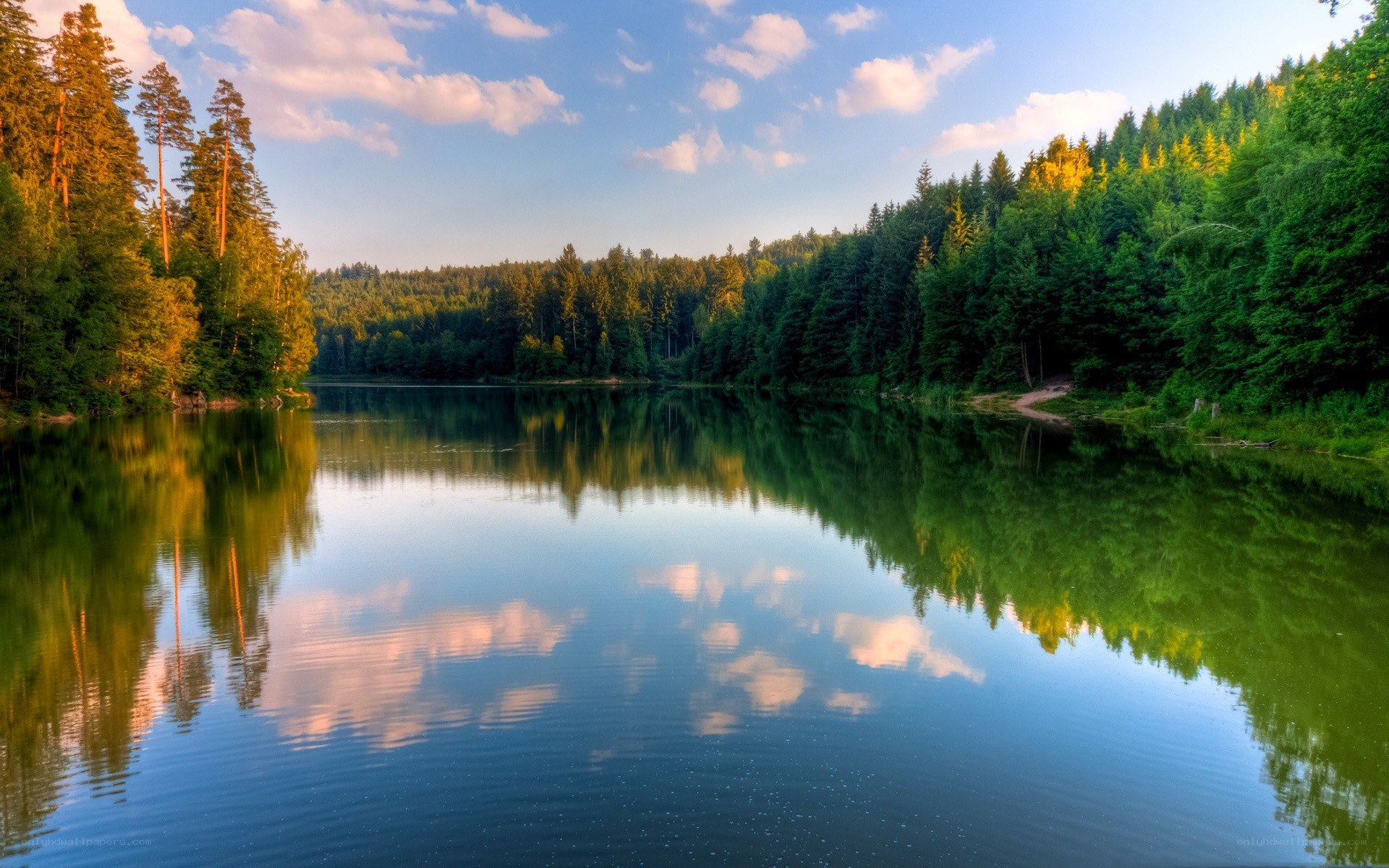 Forest lake at sunset