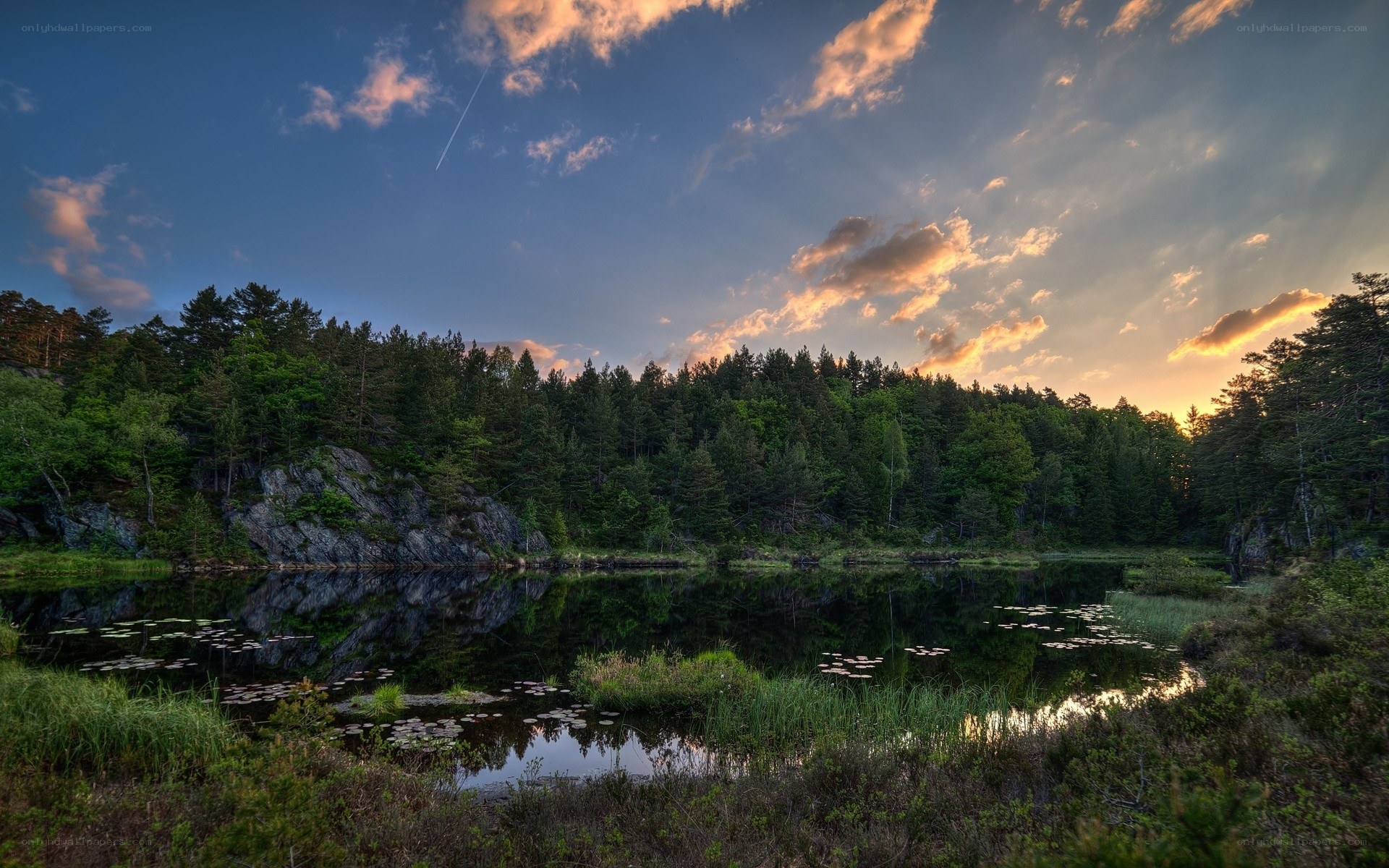 Forest lake at sunset