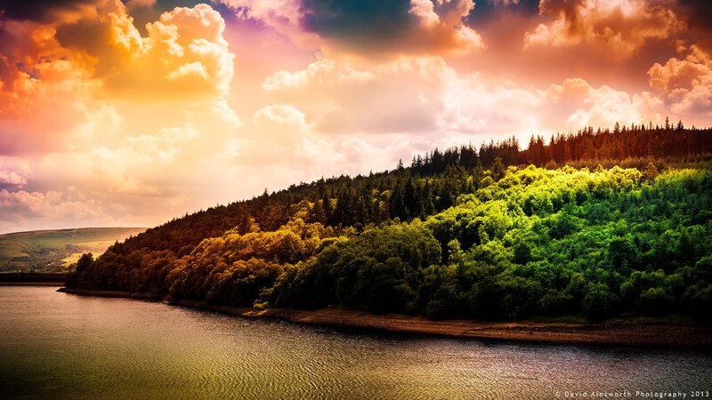 Forest lake at sunset