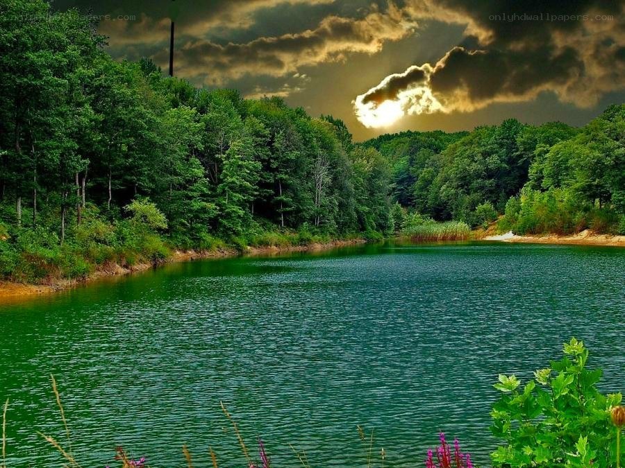 Forest lake at sunset