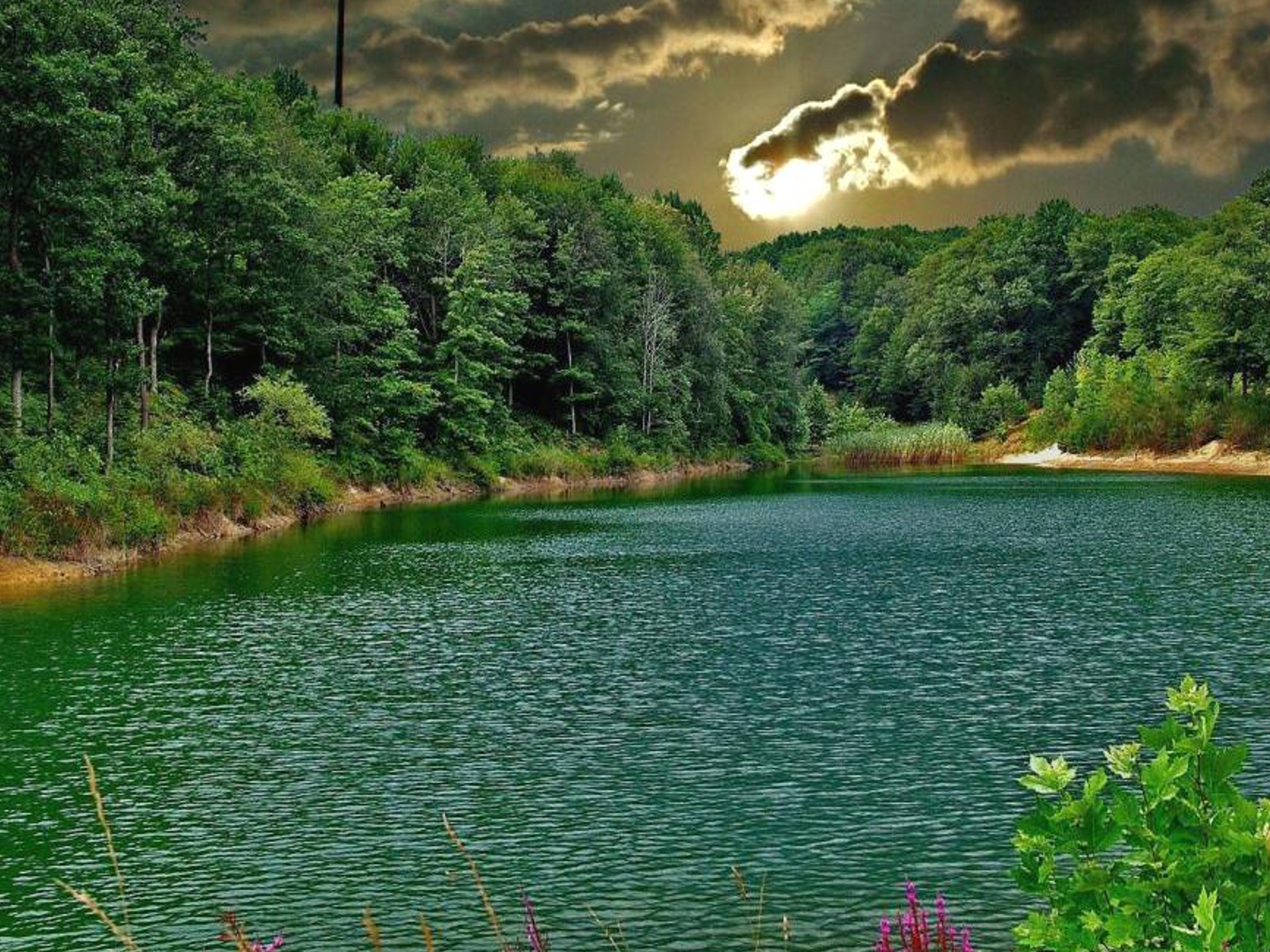 Forest lake at sunset
