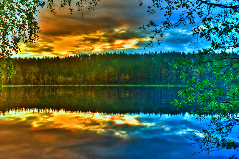 Forest Lake at Sunset — Blue, Dramatic
