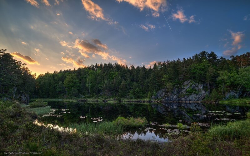 Forest Lake at Sunset — Blue, Serene, Photograph, Trees, Clouds