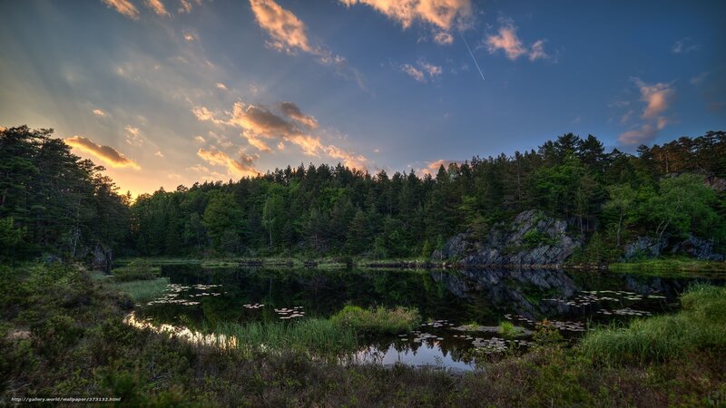 Forest Lake at Sunset — Blue, Serene, Photograph, Trees
