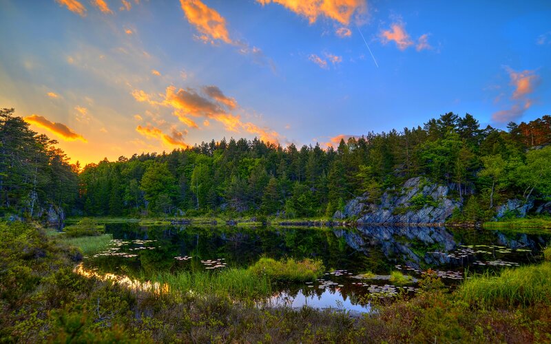 Forest Lake at Sunset — Blue