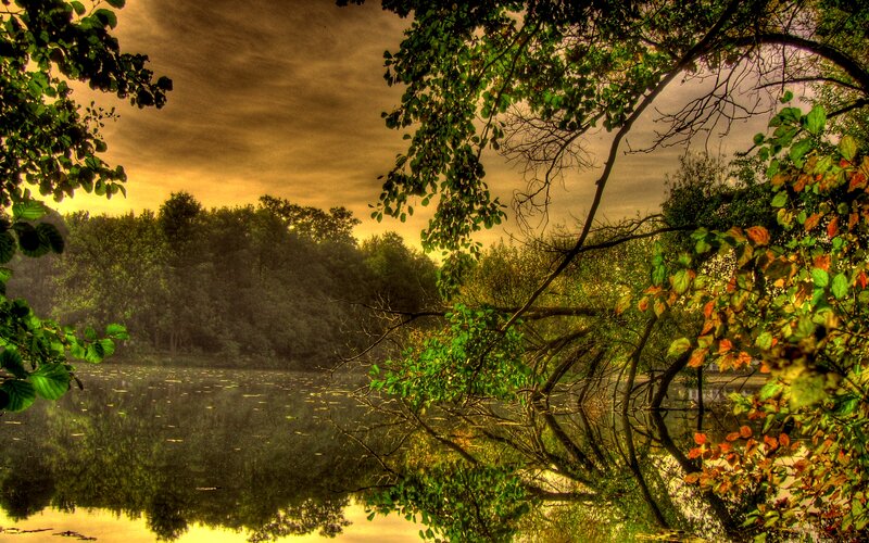 Forest Lake at Sunset — Green, Dramatic