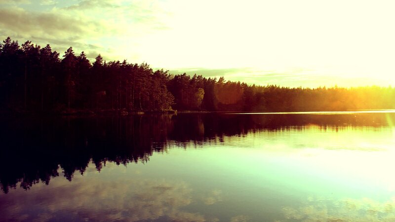 Forest Lake at Sunset — Green, Serene, Photograph