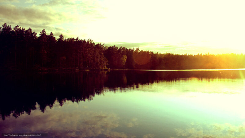 Forest Lake at Sunset — Green, Serene, Photograph, Trees