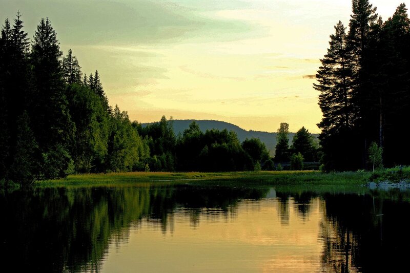 Forest Lake at Sunset — Green, Serene