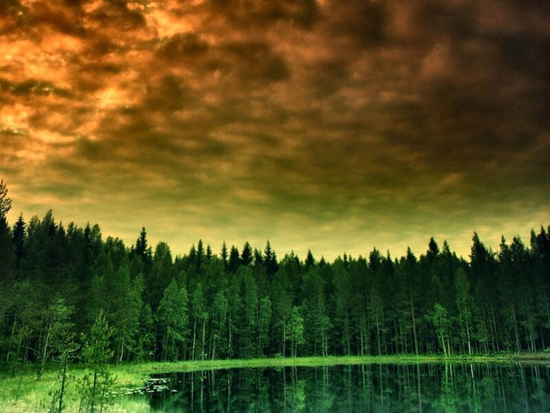 Forest Lake at Sunset — Green
