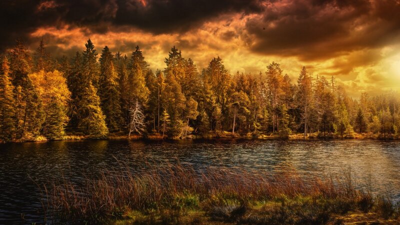 Forest Lake at Sunset — Orange, Dramatic, Photograph, Trees, Sky