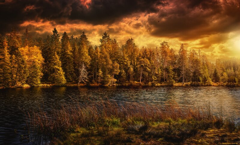 Forest Lake at Sunset — Orange, Dramatic, Photograph, Trees