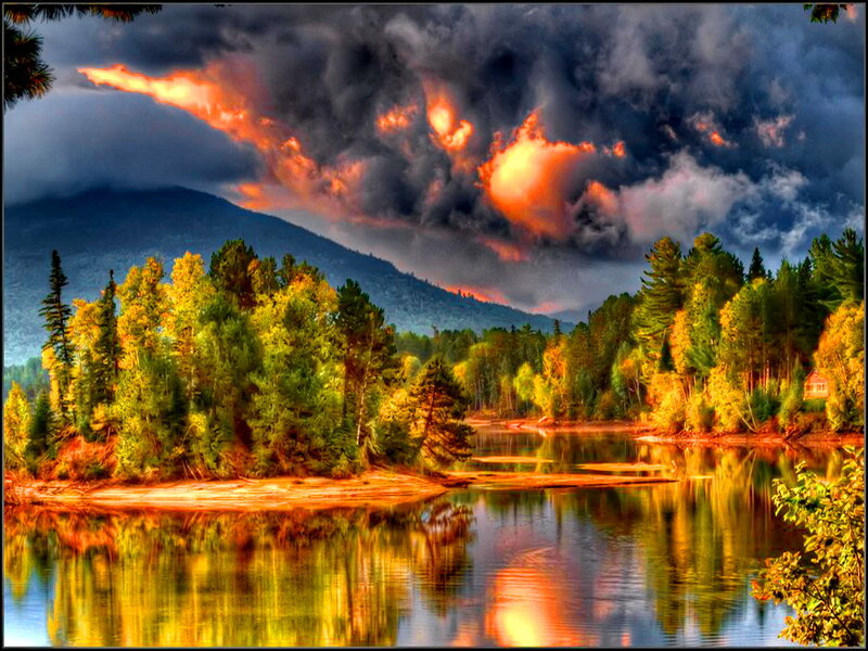 Forest Lake at Sunset — Orange, Dramatic