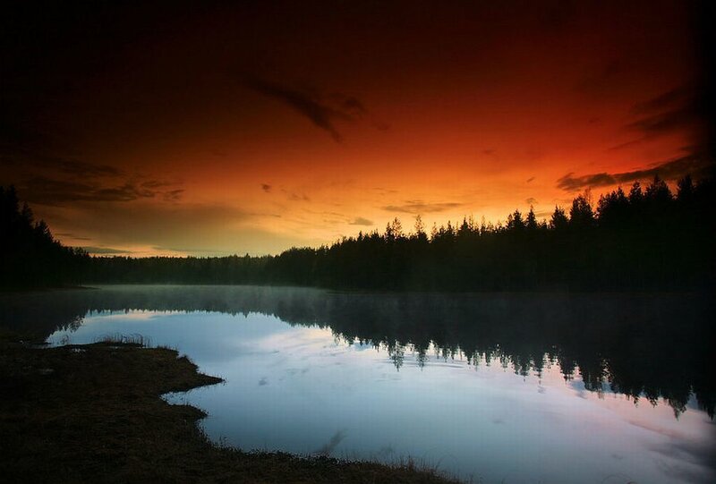 Forest Lake at Sunset — Orange, Serene