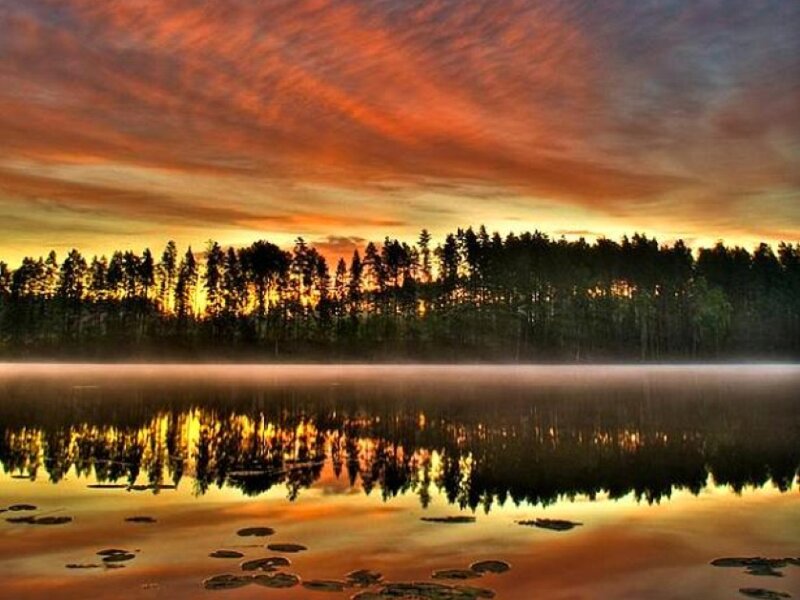 Forest Lake at Sunset — Orange