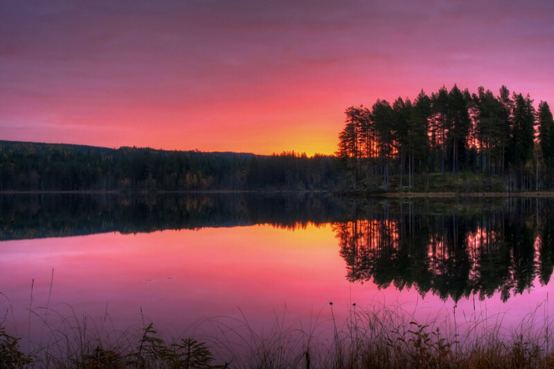 Forest Lake at Sunset — Pink
