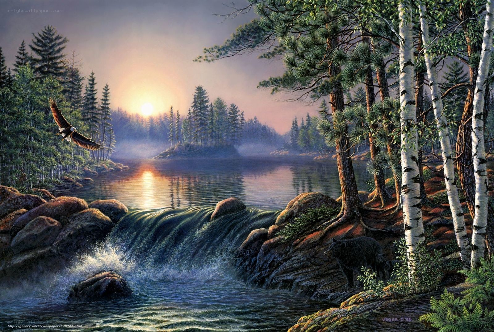 Forest lake at sunset with eagle