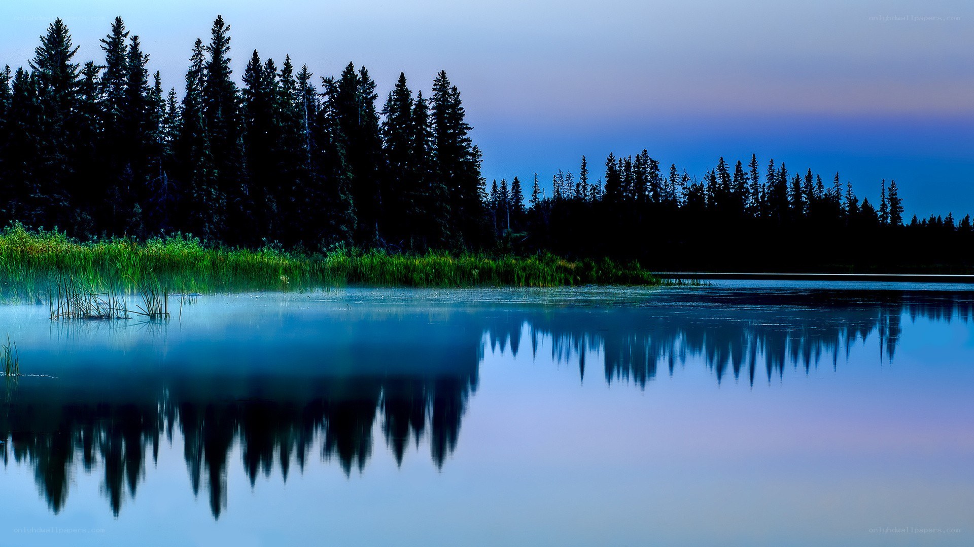 Forest lake at twilight