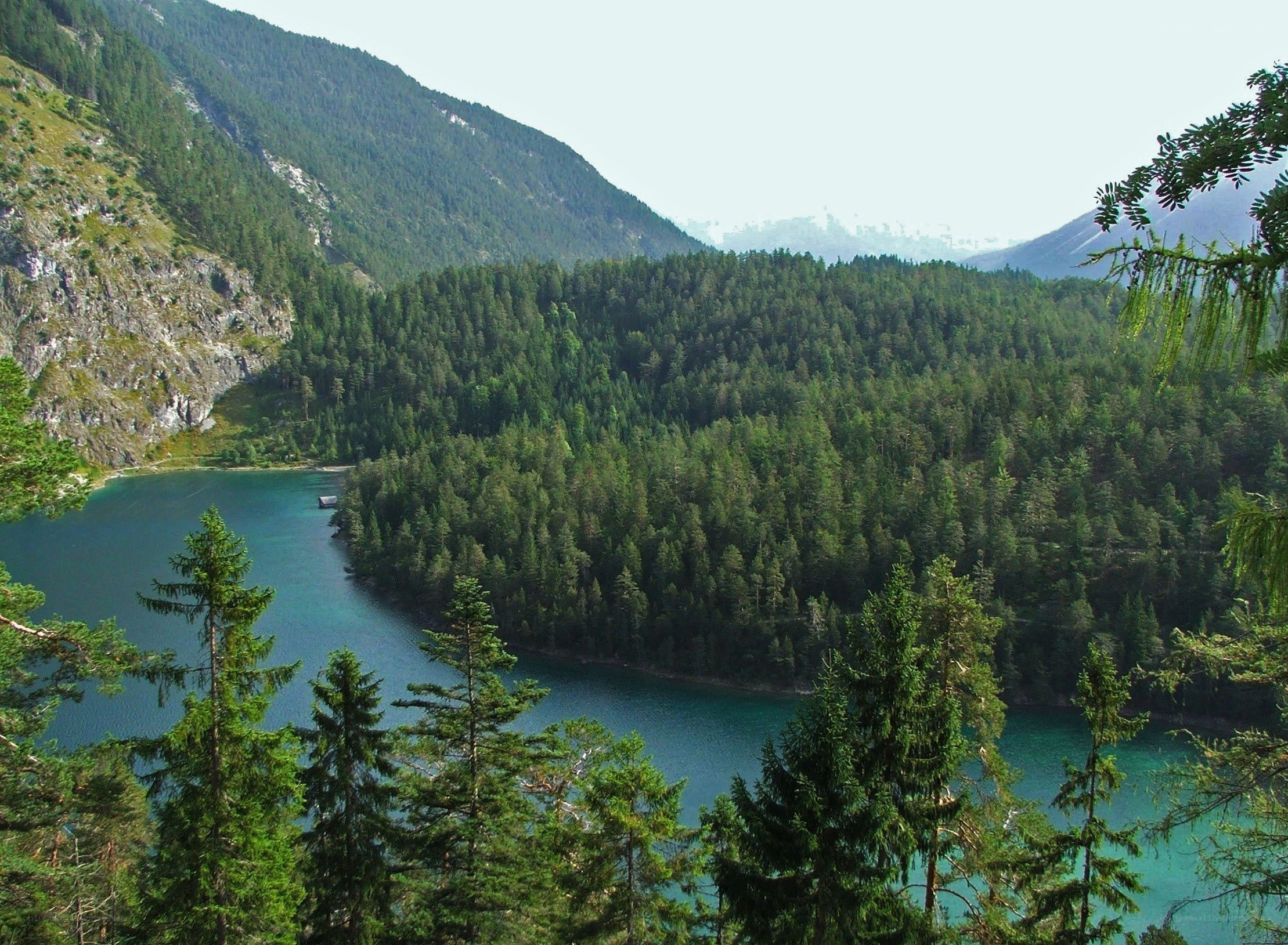 forest lake in mountain valley