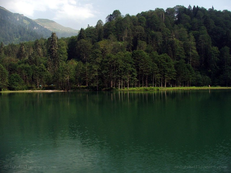 Forest lake in mountain valley
