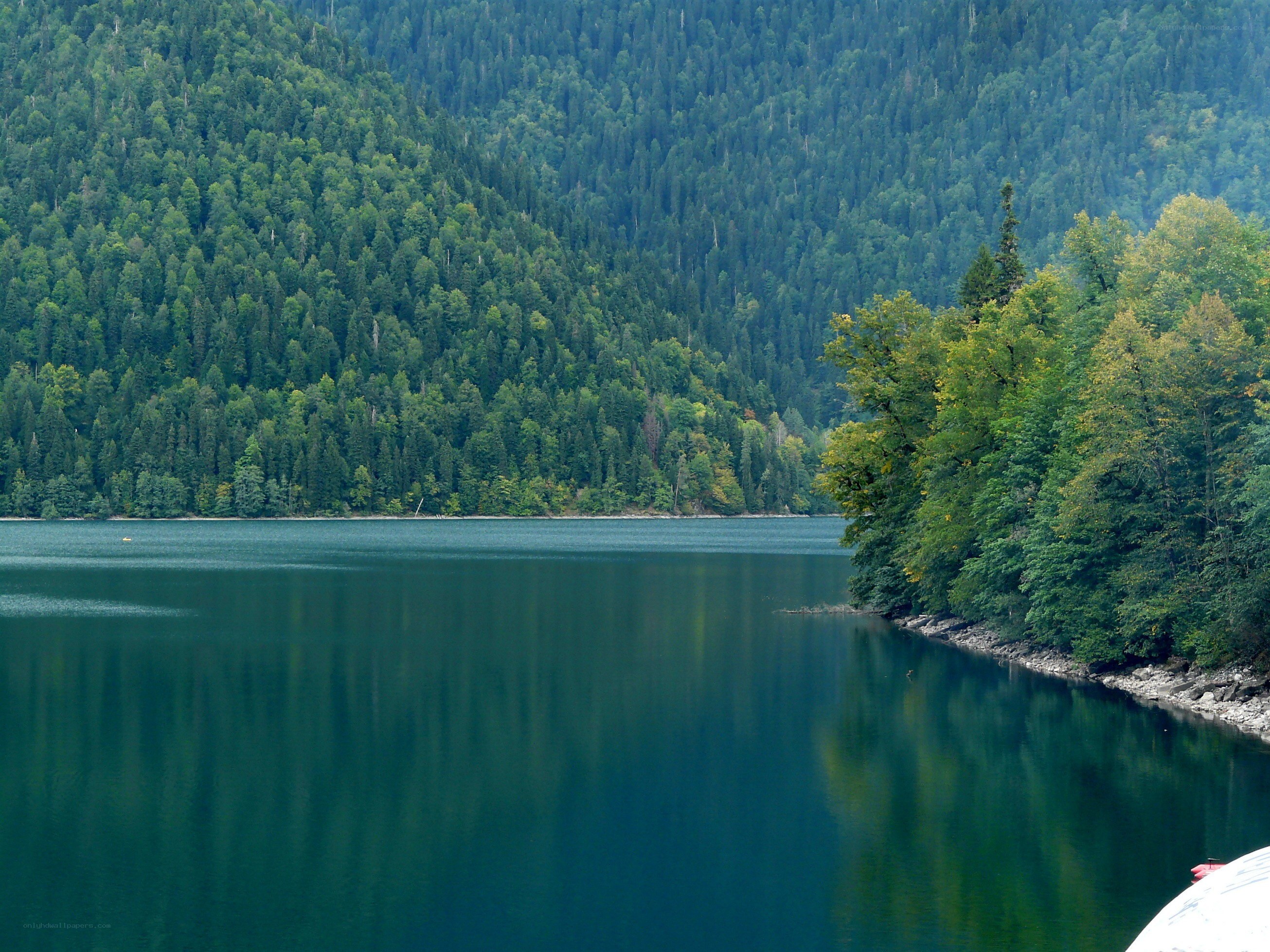 Forest lake in mountain valley