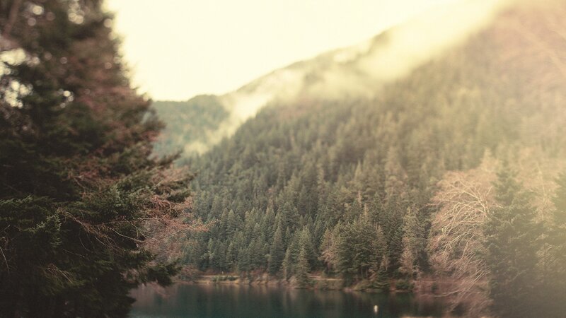Forest Lake in Mountains — Green