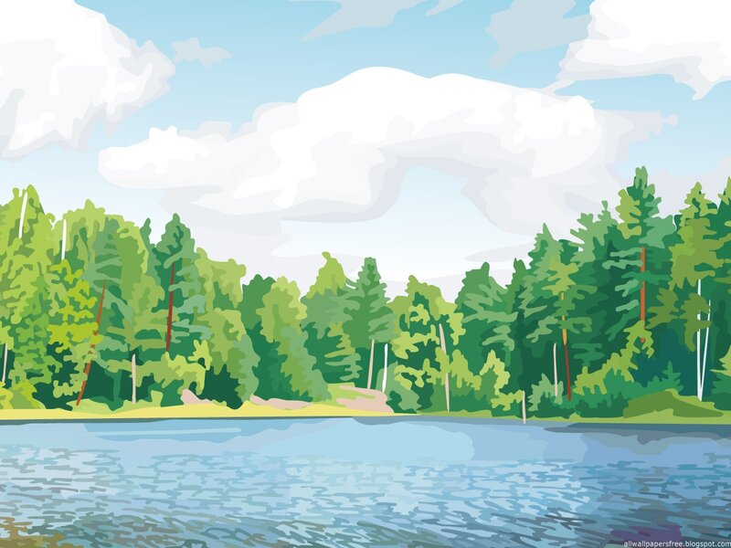 Forest lake landscape