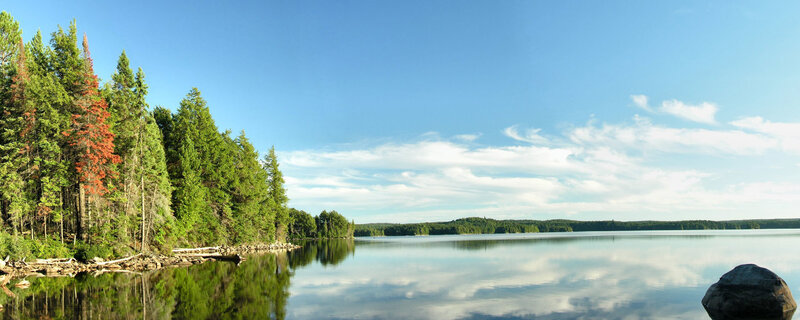 Forest Lake Landscape — Blue, Serene, Afternoon, Photograph, Trees