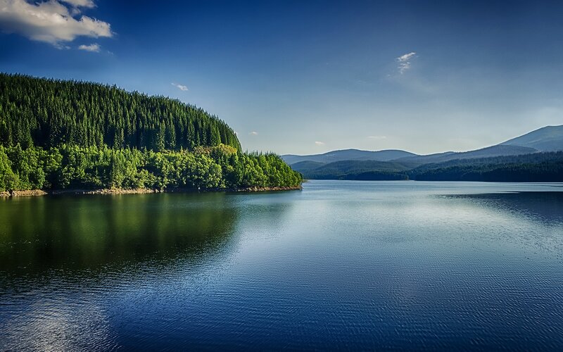 Forest Lake Landscape — Blue, Serene, Afternoon
