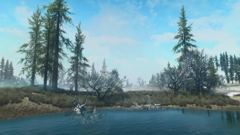 Forest Lake Landscape — Blue, Serene, Morning