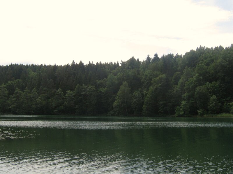 Forest Lake Landscape — Green, Calm