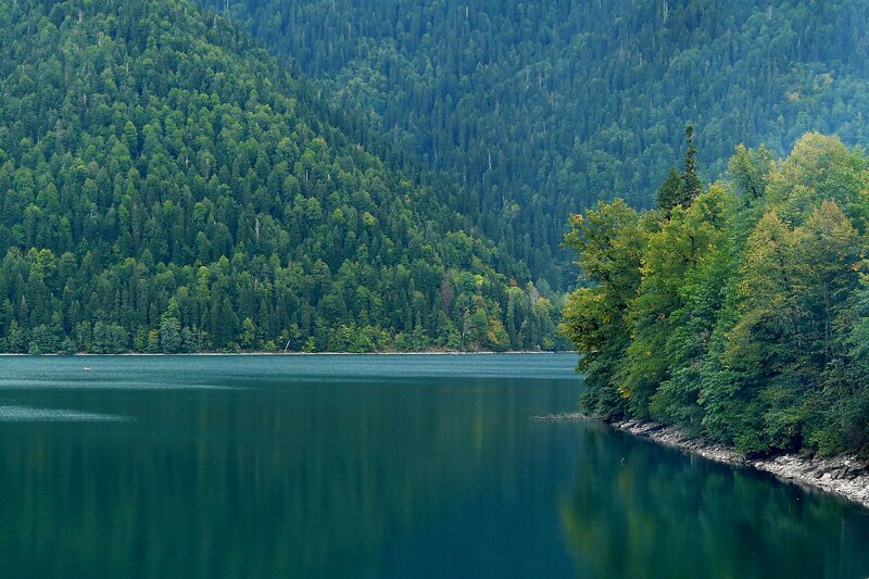 Forest Lake Landscape — Green, Serene, Afternoon