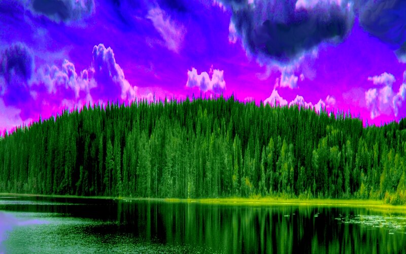 Forest Lake Landscape — Purple