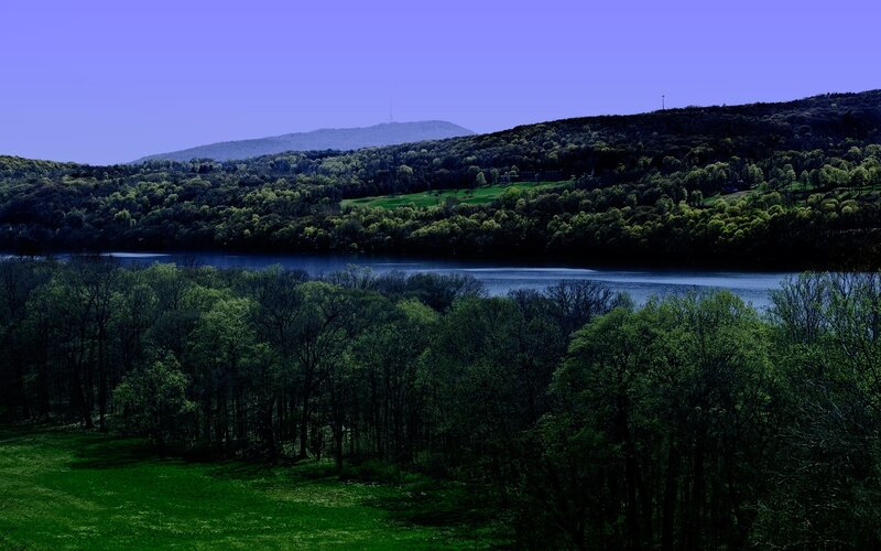 Forest lake landscape view