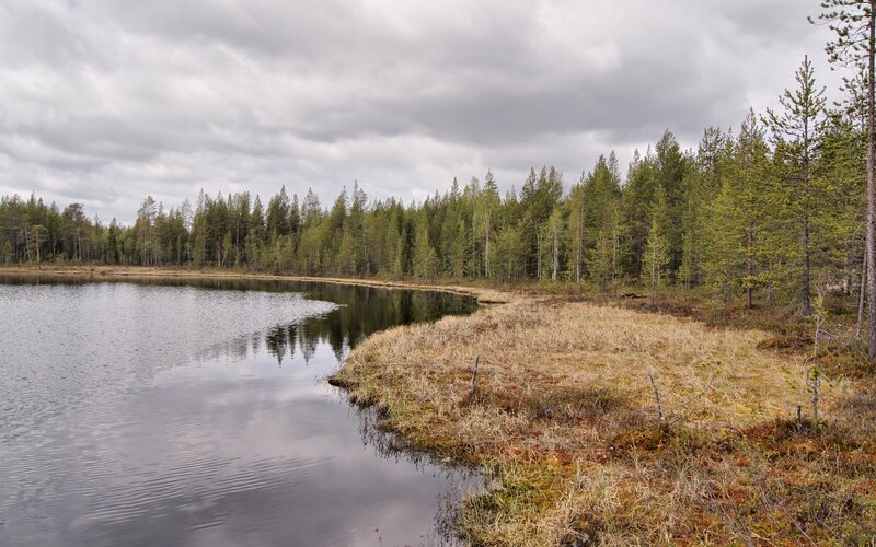 Forest lake on a cloudy day