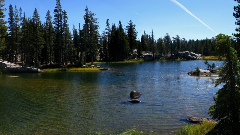 Forest lake on a sunny day