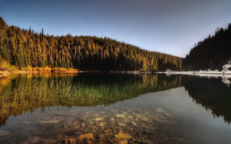 Forest lake reflection