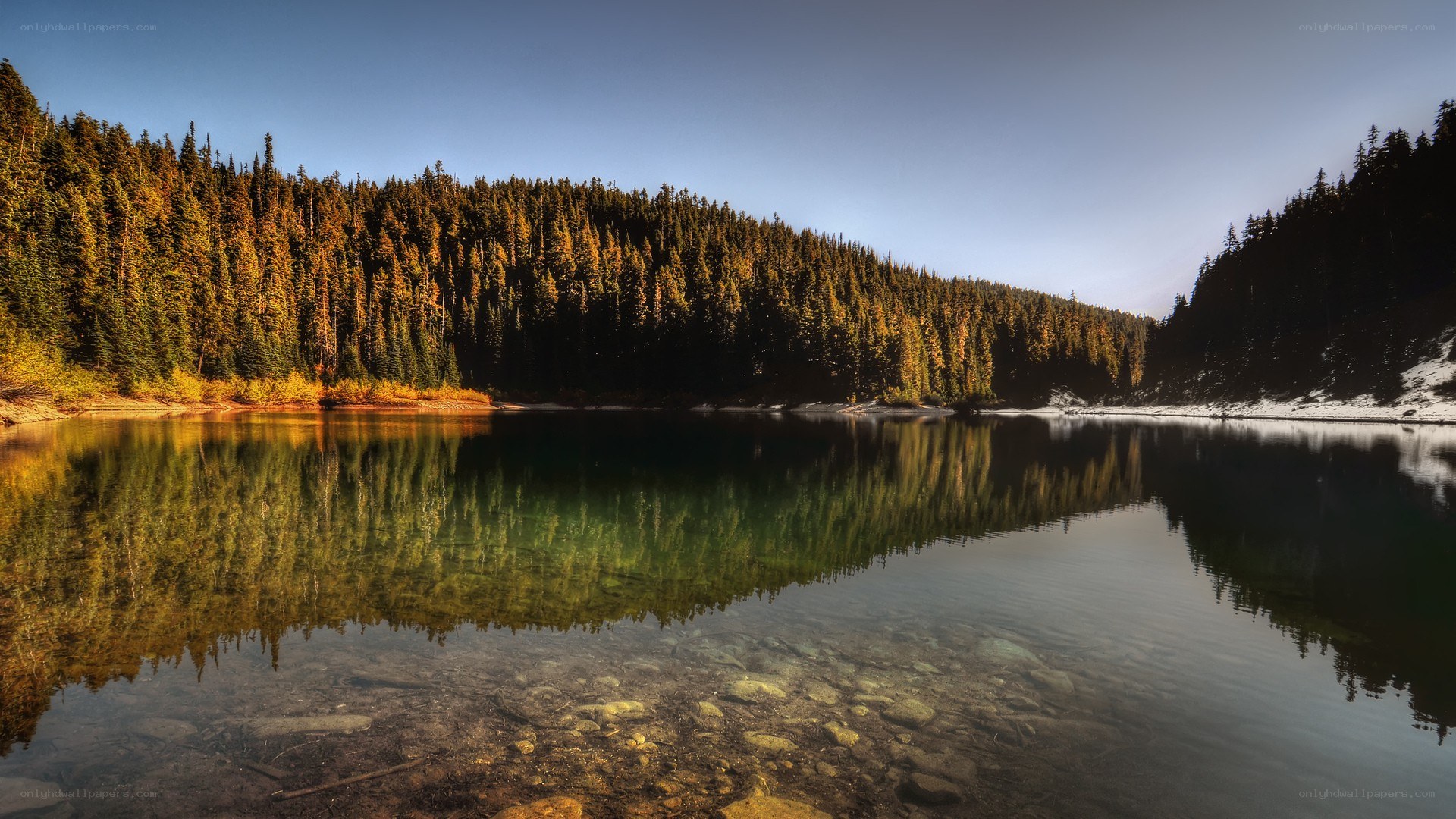 Forest lake reflection