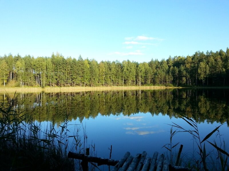 Forest Lake Reflection — Blue, Serene, Afternoon, Photograph