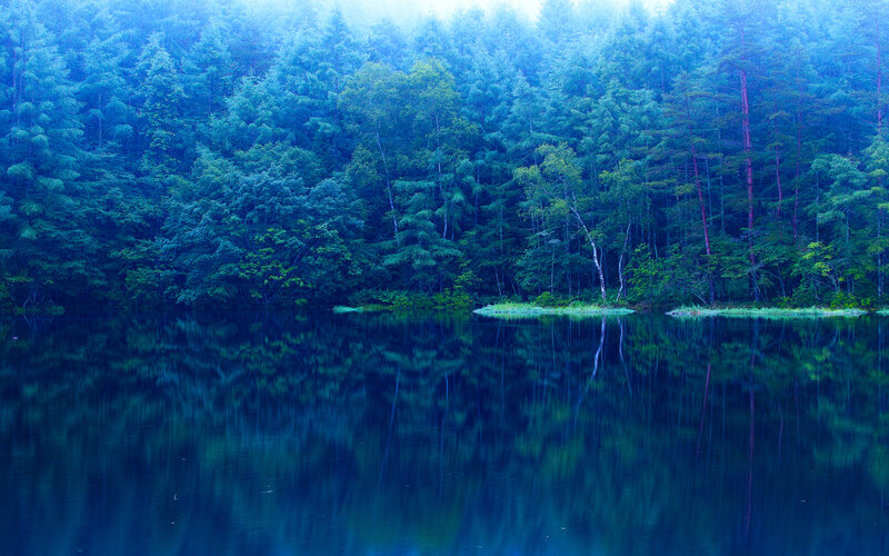 Forest Lake Reflection — Blue, Serene, Morning, Photograph