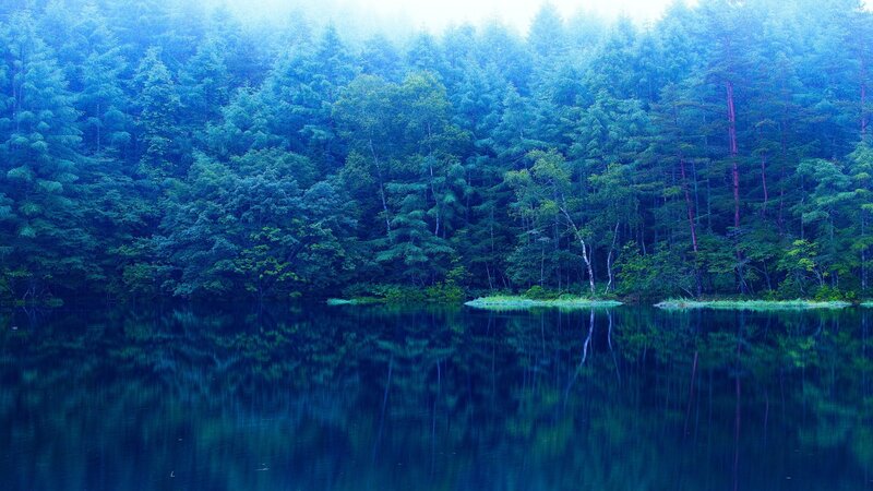 Forest Lake Reflection — Blue, Serene, Morning, Photograph, Trees