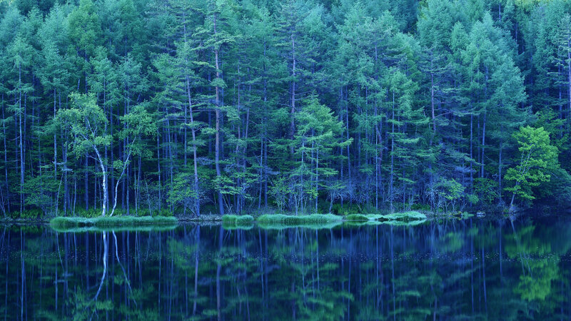 Forest Lake Reflection — Blue, Serene, Night, Photograph