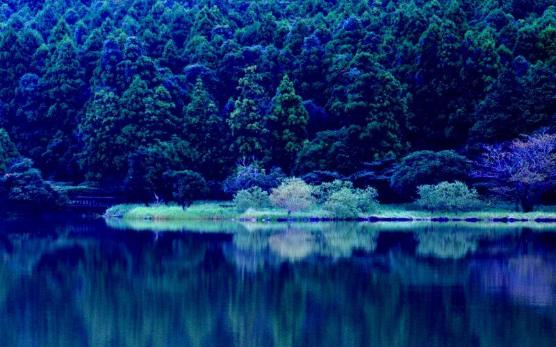 Forest Lake Reflection — Blue, Serene, Night