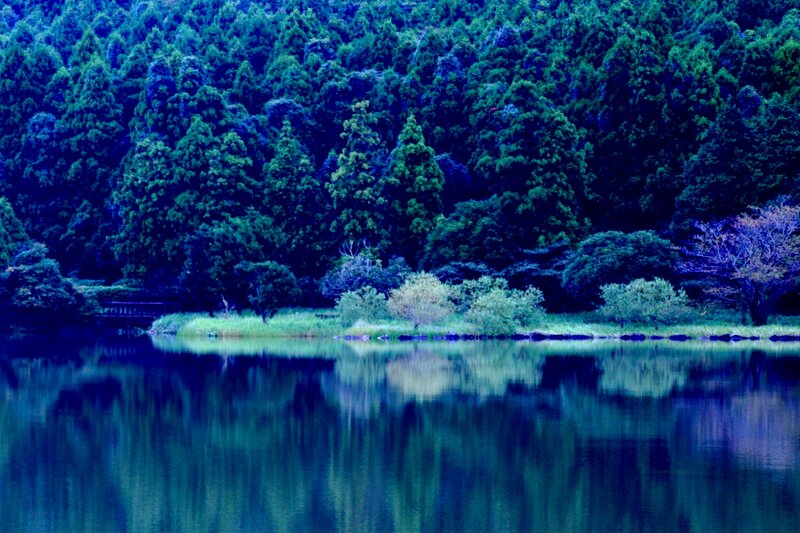 Forest Lake Reflection — Blue, Serene, Photograph