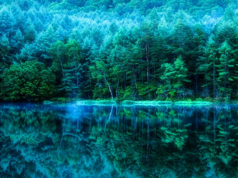 Forest Lake Reflection — Blue, Serene, Photograph, Trees