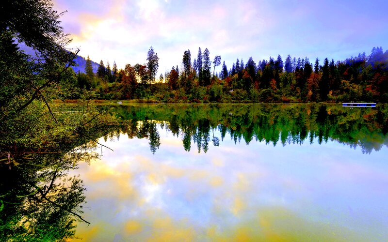 Forest Lake Reflection — Blue, Serene, Sunset, Photograph