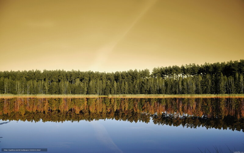 Forest Lake Reflection — Blue, Serene, Sunset, Photograph, Trees