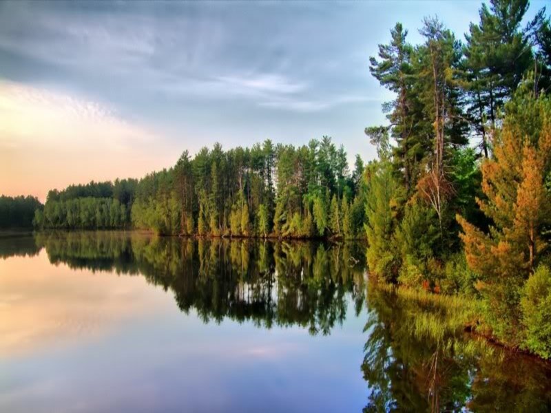 Forest Lake Reflection — Blue, Serene, Sunset